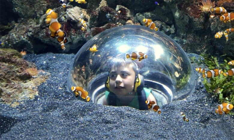 Campamentos inclusivos