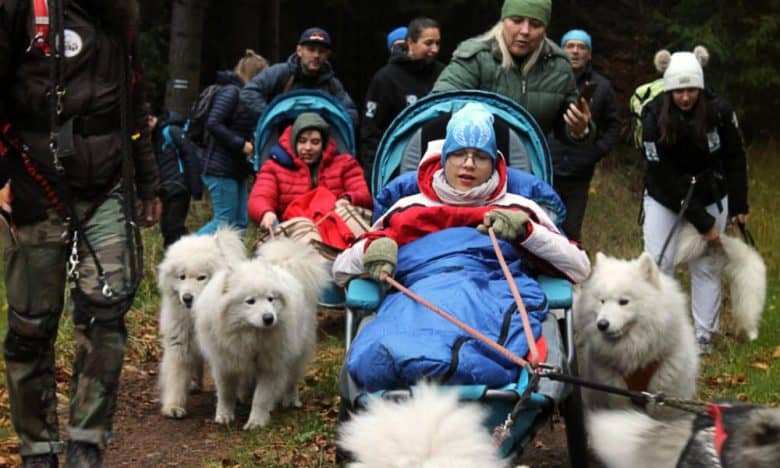 Colaboraciones internacionales